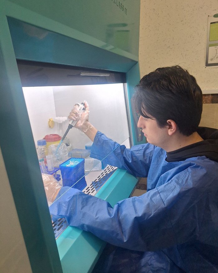 Raman Nafarieh pipetting inside a Class II biosafety cabinet