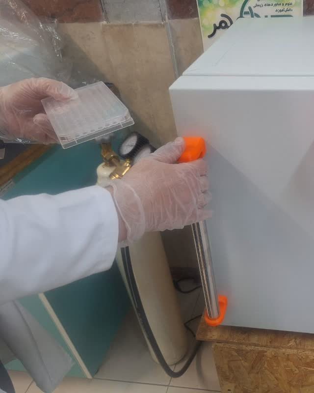 A 96-well microplate being placed into a CO2 incubator